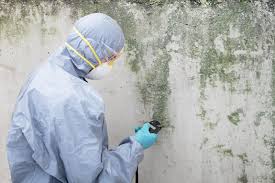 Best Airborne Mold Testing  in Iowa Colony, TX